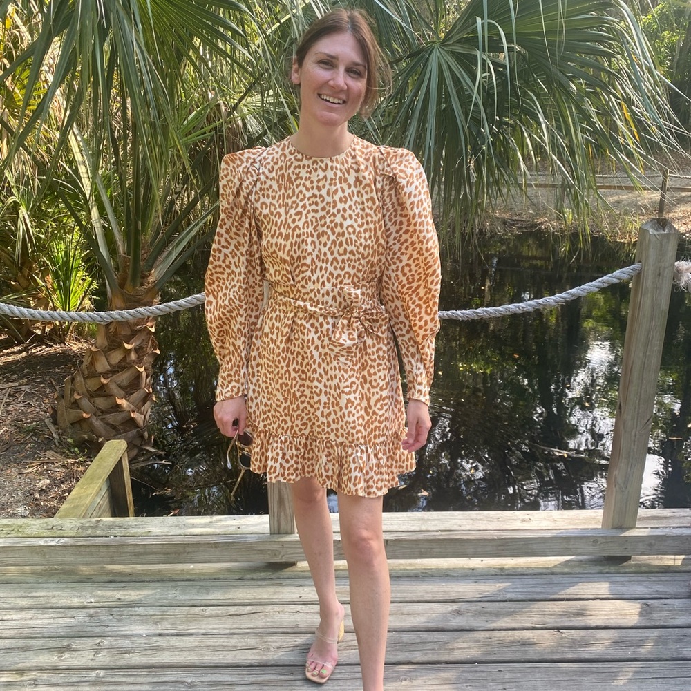 Stunning ULLA JOHNSON 100% silk dress (worn only once)